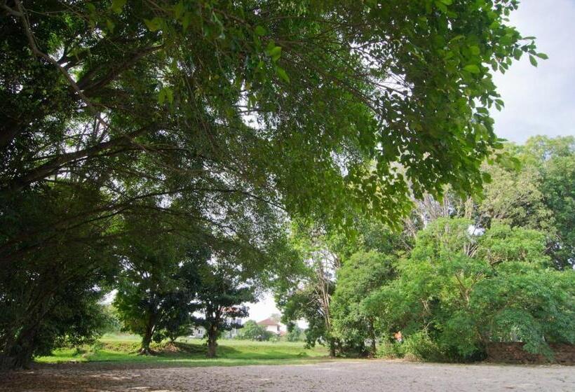 هتل Mydream Homestay