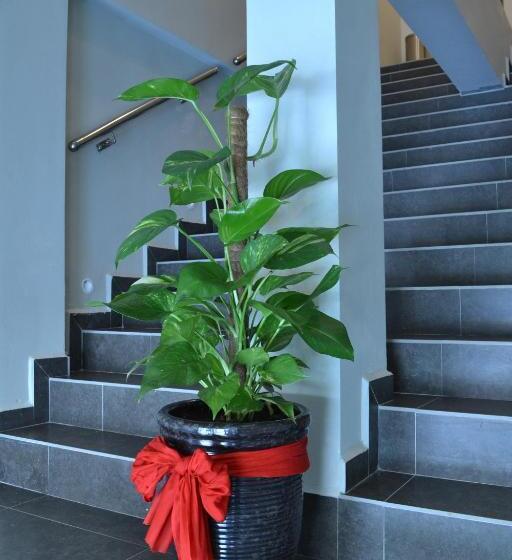 U Design Hotel Mentakab