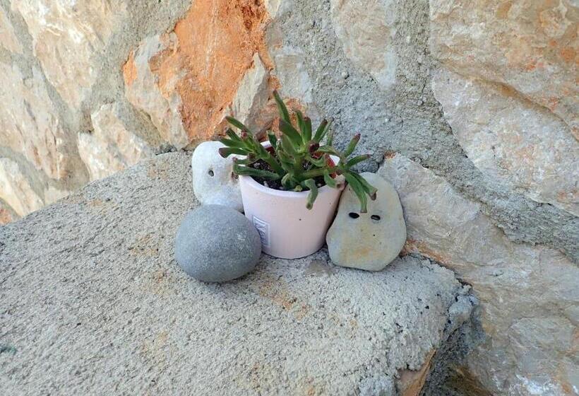 Mareta   Apartment In A Stone House