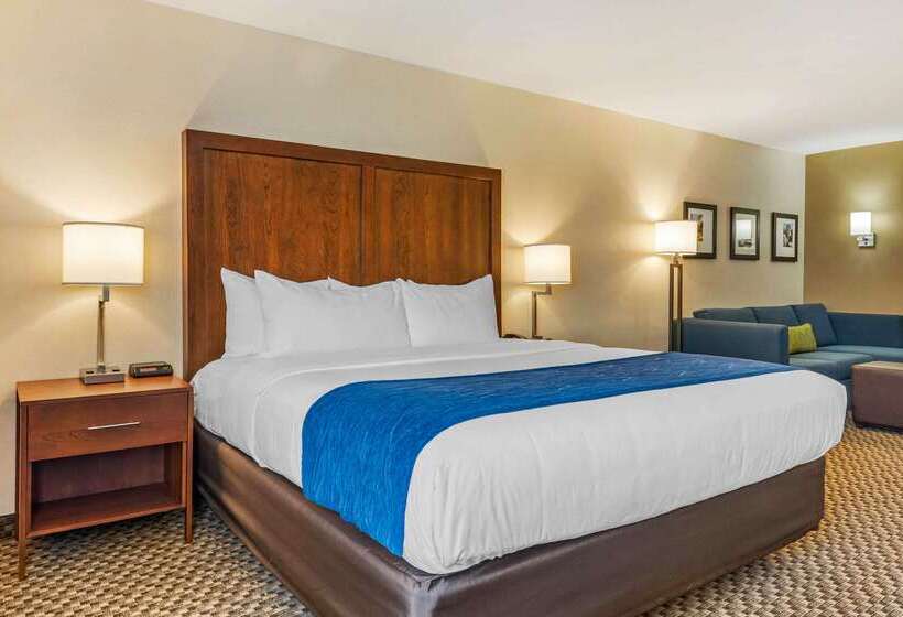 酒店 Comfort Inn & Suites Near Route 66