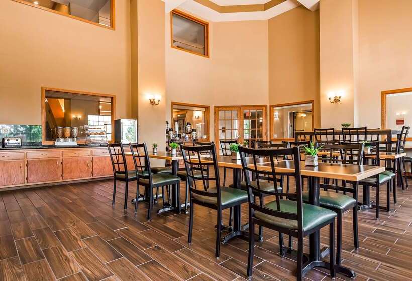 ホテル Best Western Locust Grove Inn & Suites