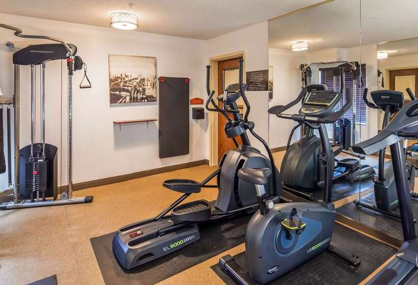 בית מלון כפרי Best Western Plus South Hill Inn