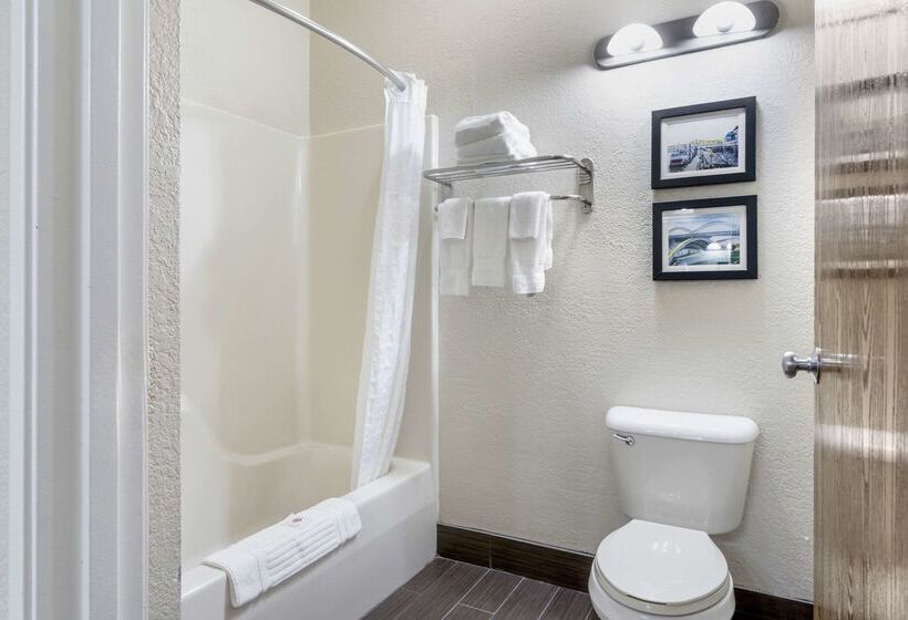 Отель Comfort Inn & Suites