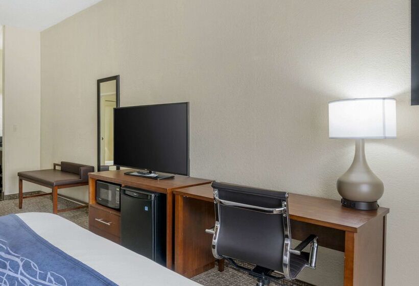 Отель Comfort Inn & Suites