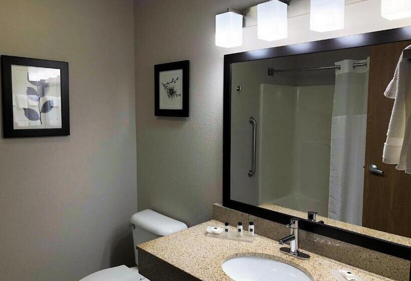 בית מלון כפרי Country Inn & Suites By Radisson Mt. Pleasantracine West Wi