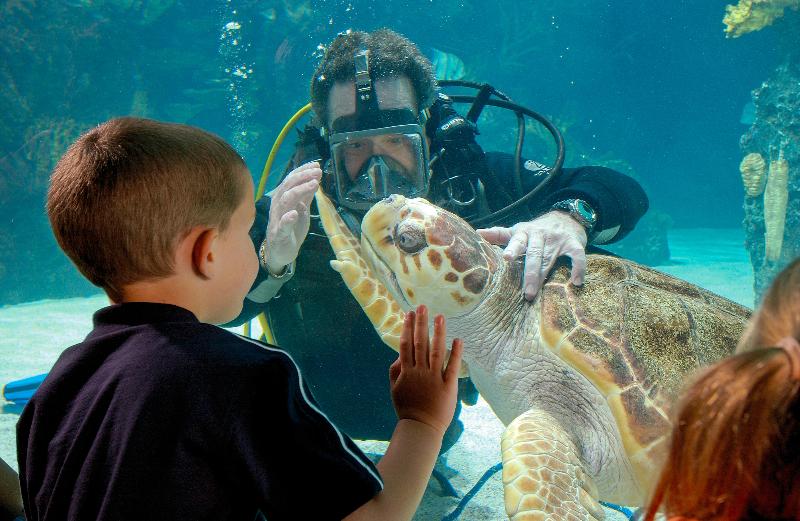 هتل Holiday Inn Cincinnati Airport, An Ihg