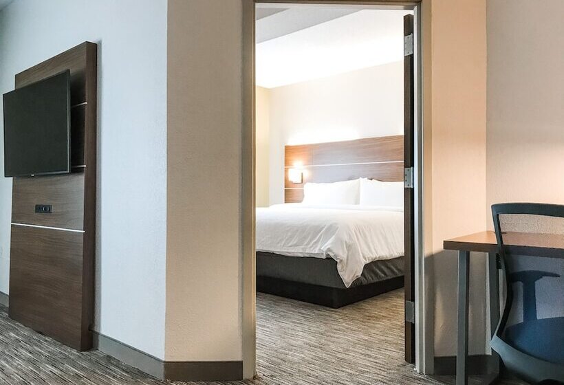 ホテル Holiday Inn Express Statesboro, An Ihg