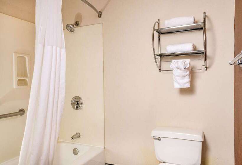 هتل Quality Inn & Suites Lathrop