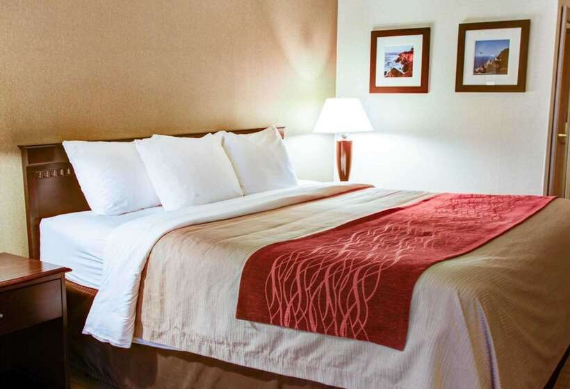 호텔 Quality Inn Florence