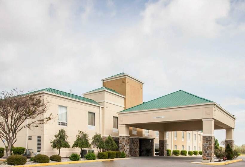 ホテル Quality Inn Hayti North