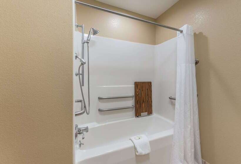 ホテル Quality Inn & Suites Hendersonville  Flat Rock