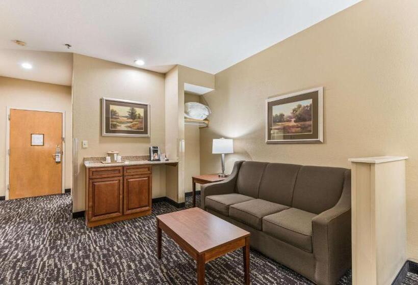 ホテル Quality Inn & Suites Hendersonville  Flat Rock