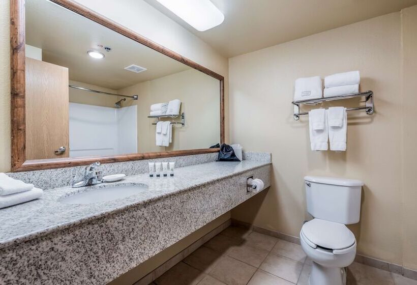 בית מלון כפרי Red Lion Inn & Suites Goodyear