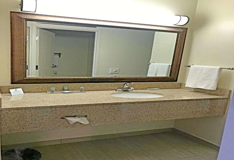 酒店 Rodeway Inn & Suites