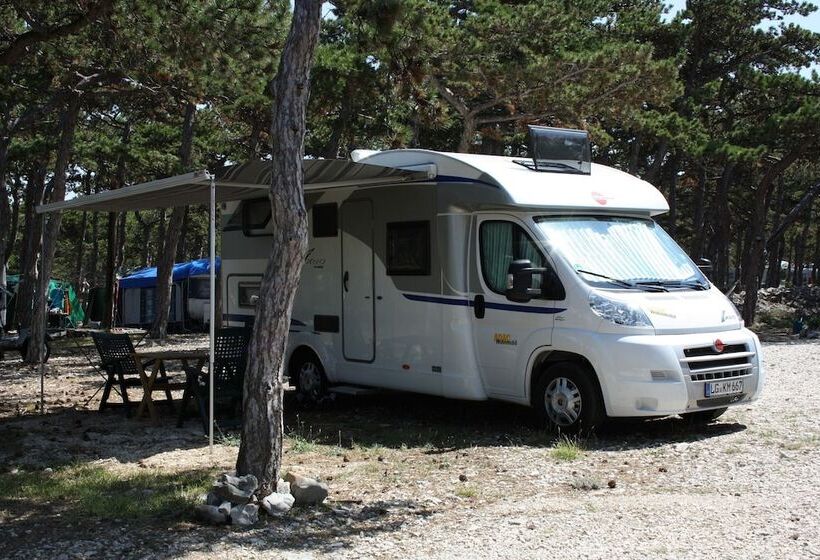 בית מלון כפרי Kamp Planik  Campsite