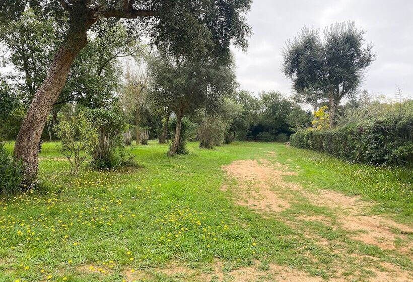 Отель Camping 3 Estrellas Costa Brava