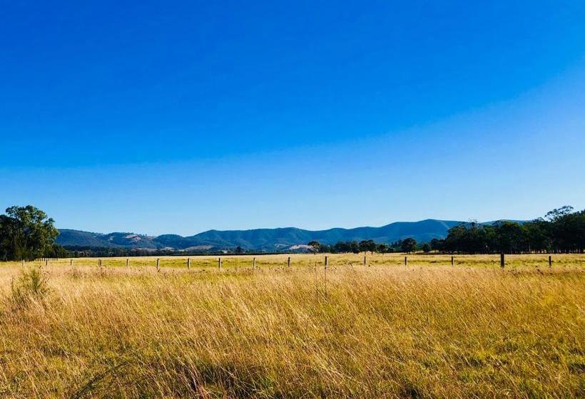 Charlotte Tiny House