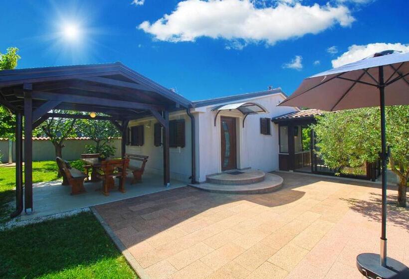 House Stella 1319