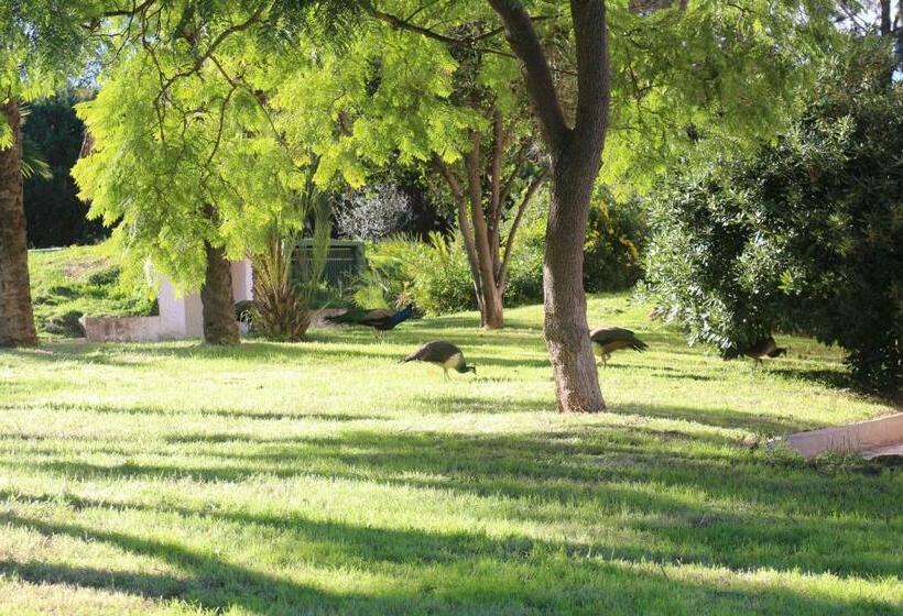 Villa Entrenaranjos