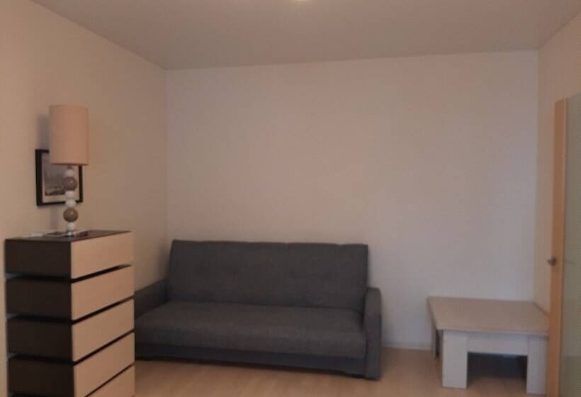 Apartment On Maloye Shosse 3