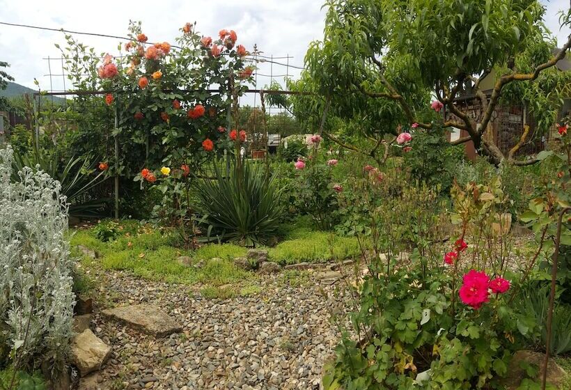 פנסיון Flowering Garden