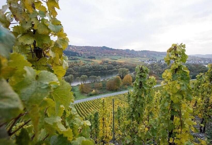 Ferienwohnung Vinothek Keifer Kinheim
