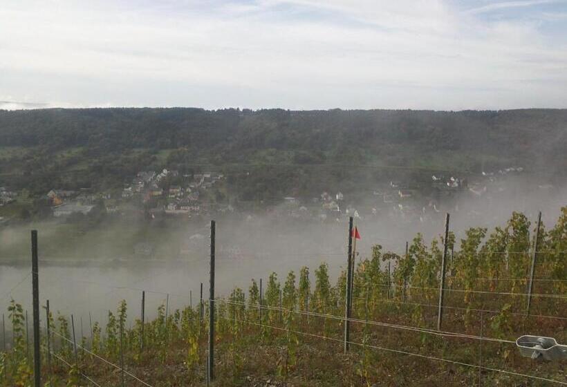 Ferienwohnung Vinothek Keifer Kinheim