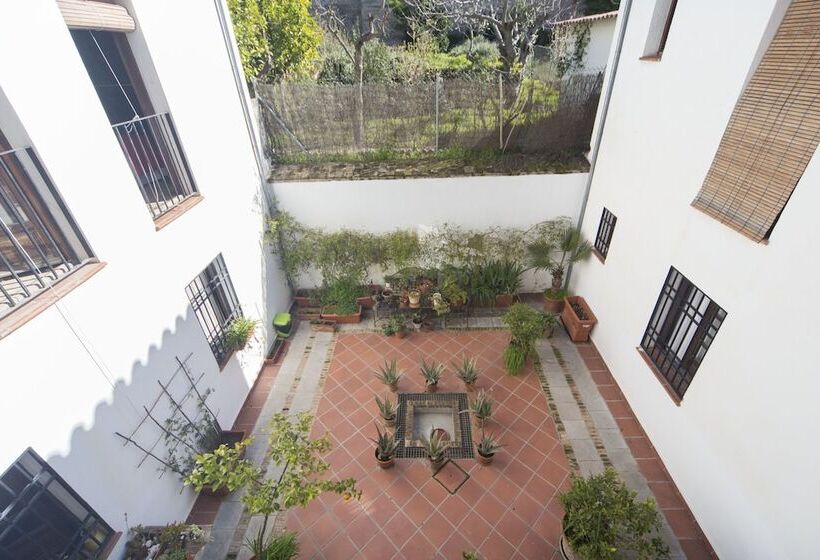 Loft Dalahorra   Albayzin
