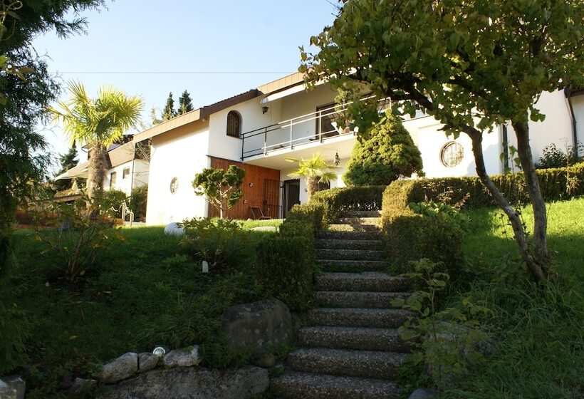 Oasis Apartment