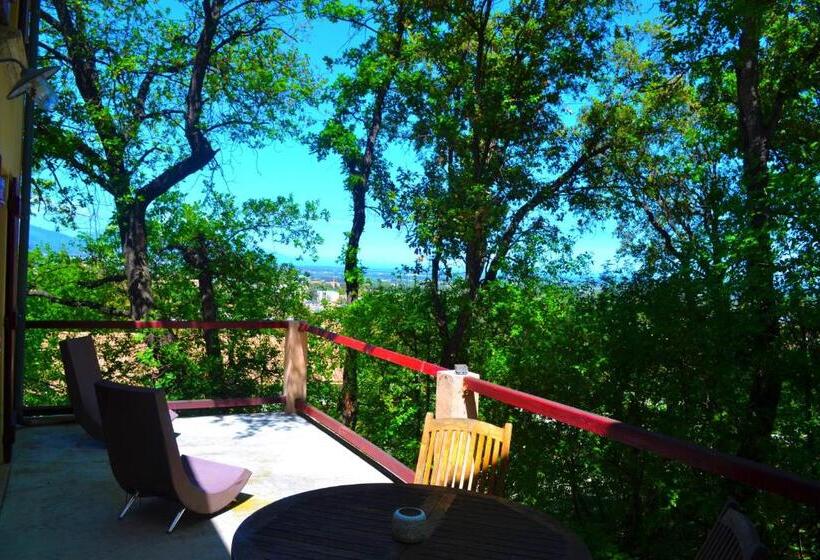 پانسیون Maison De La Vigne