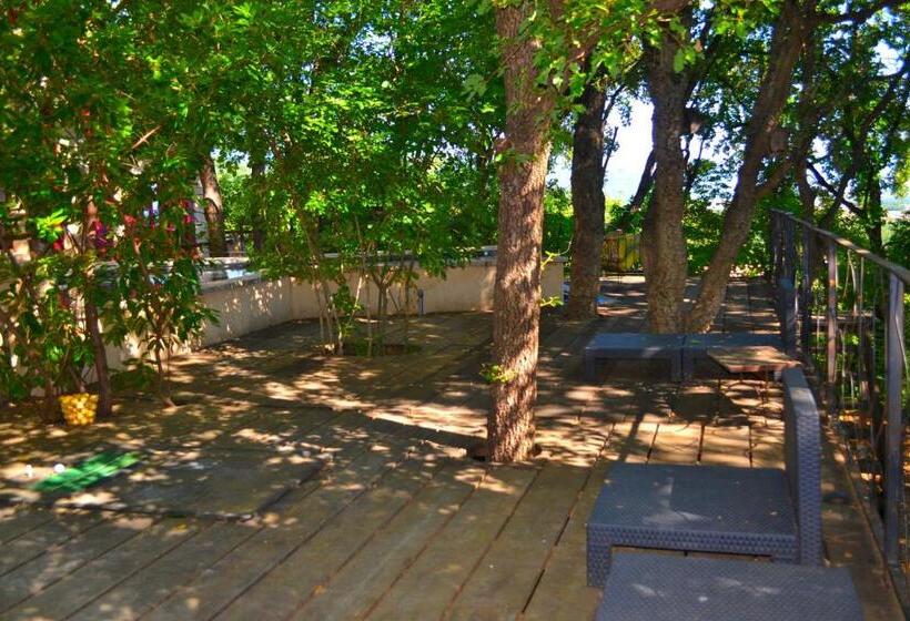 پانسیون Maison De La Vigne