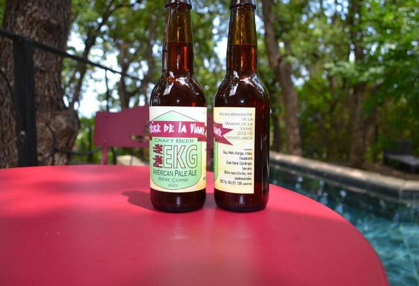 پانسیون Maison De La Vigne