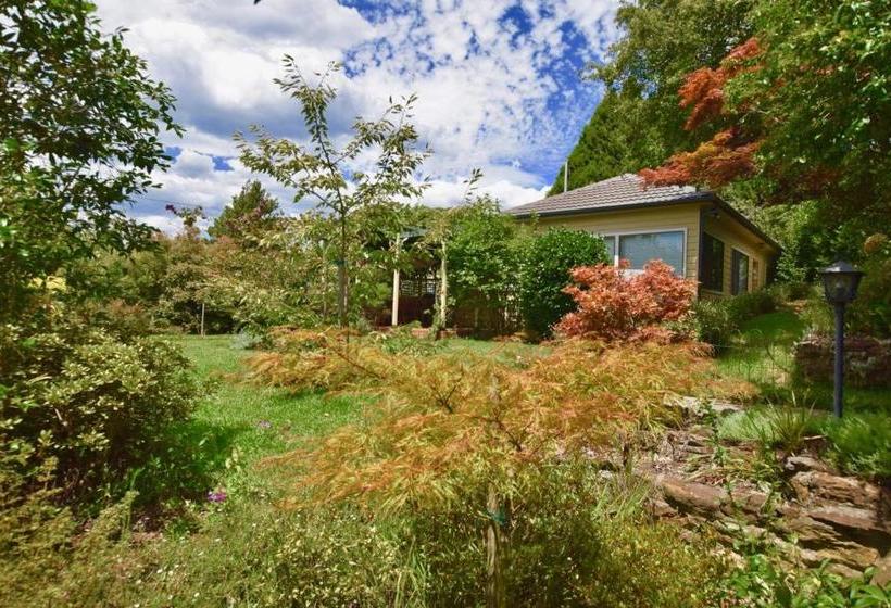 Raspberry Terrace Of Leura