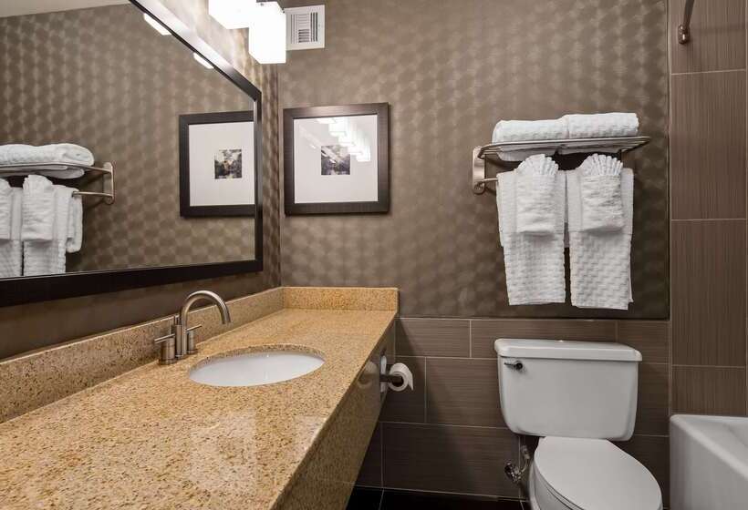 هتل Best Western Premier Airport/expo Center