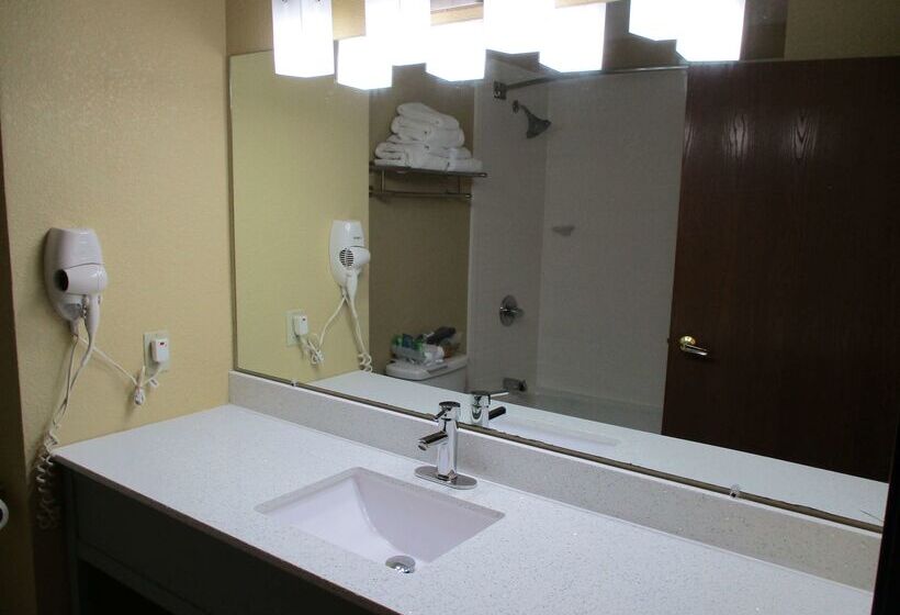 ホテル Quality Inn