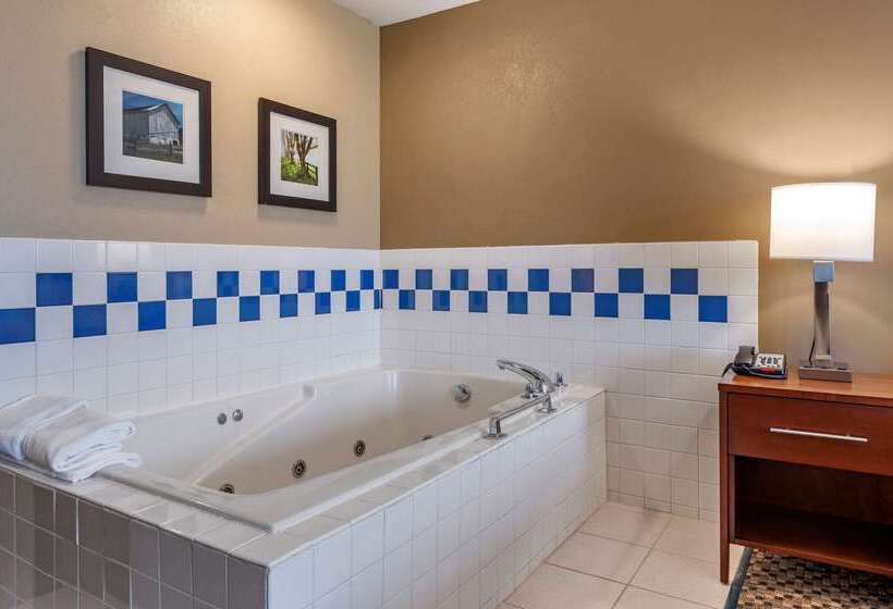 호텔 Comfort Inn & Suites Napoleon