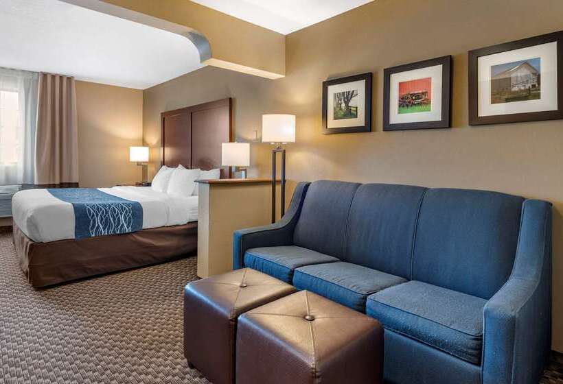 호텔 Comfort Inn & Suites Napoleon