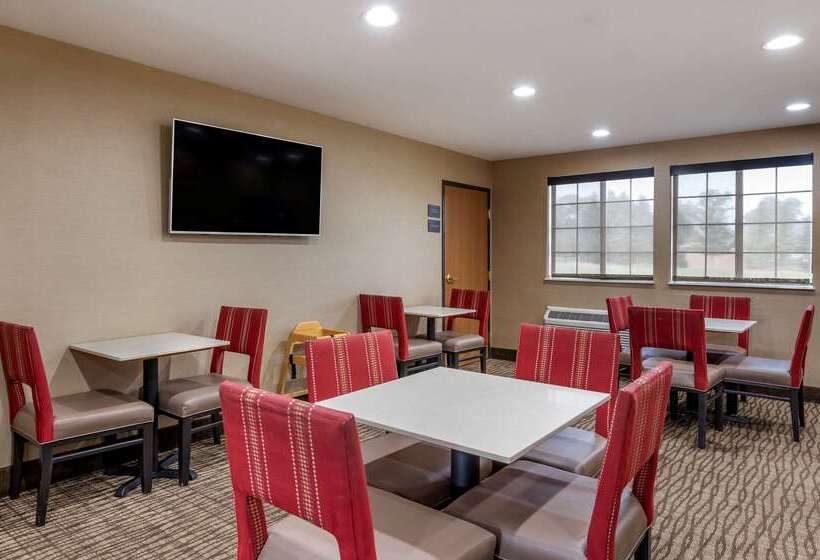 호텔 Comfort Inn & Suites Napoleon