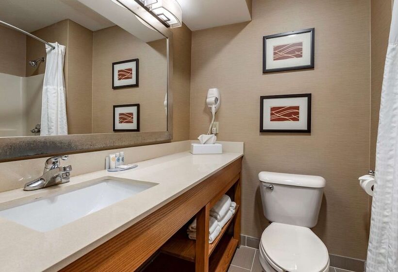 호텔 Comfort Inn & Suites Napoleon