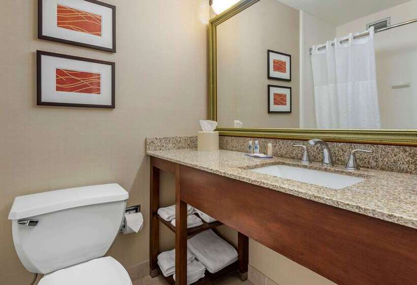 ホテル Comfort Inn Lancaster County North