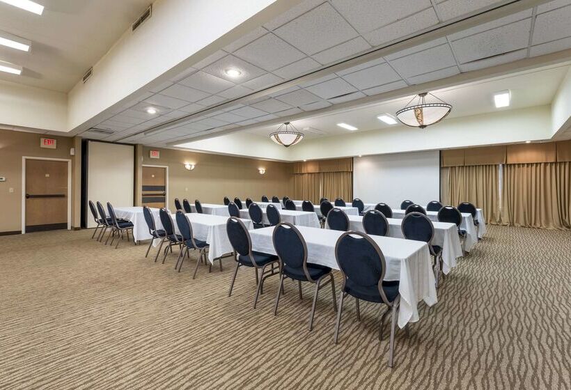 בית מלון כפרי Comfort Inn & Suites Black River Falls I94