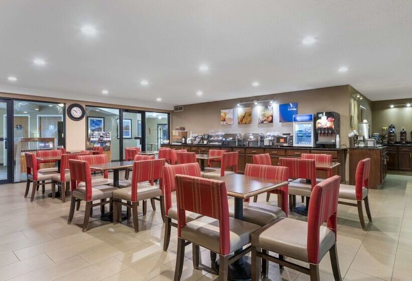 בית מלון כפרי Comfort Inn & Suites Black River Falls I94