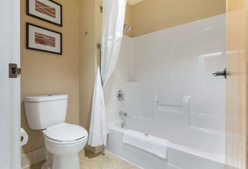 בית מלון כפרי Comfort Inn & Suites Black River Falls I94