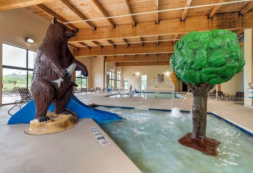 בית מלון כפרי Comfort Inn & Suites Black River Falls I94