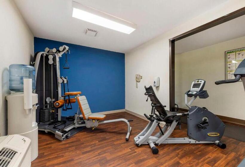 בית מלון כפרי Comfort Inn & Suites Black River Falls I94