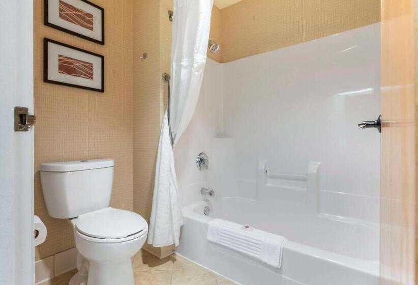 בית מלון כפרי Comfort Inn & Suites Black River Falls I94