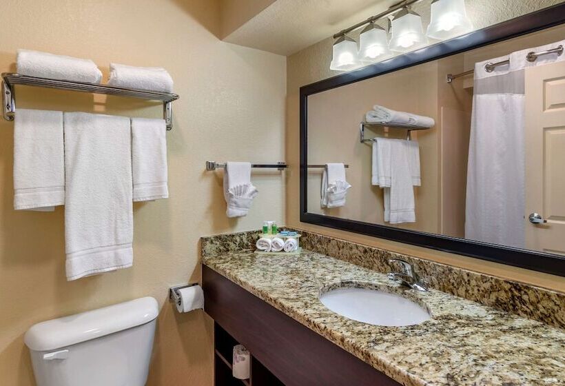 فندق Comfort Inn & Suites Dahlonega University Area
