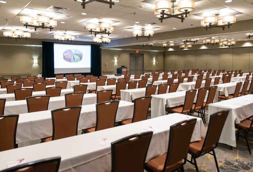 هتل Crowne Plaza Suites Msp Airport   Mall Of America, An Ihg