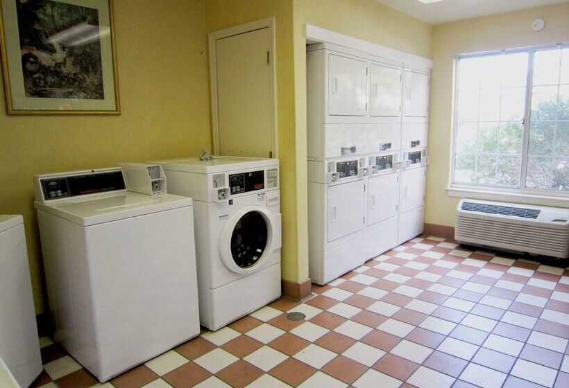 בית מלון כפרי Extended Stay America Suites  Clearwater  Carillon Park