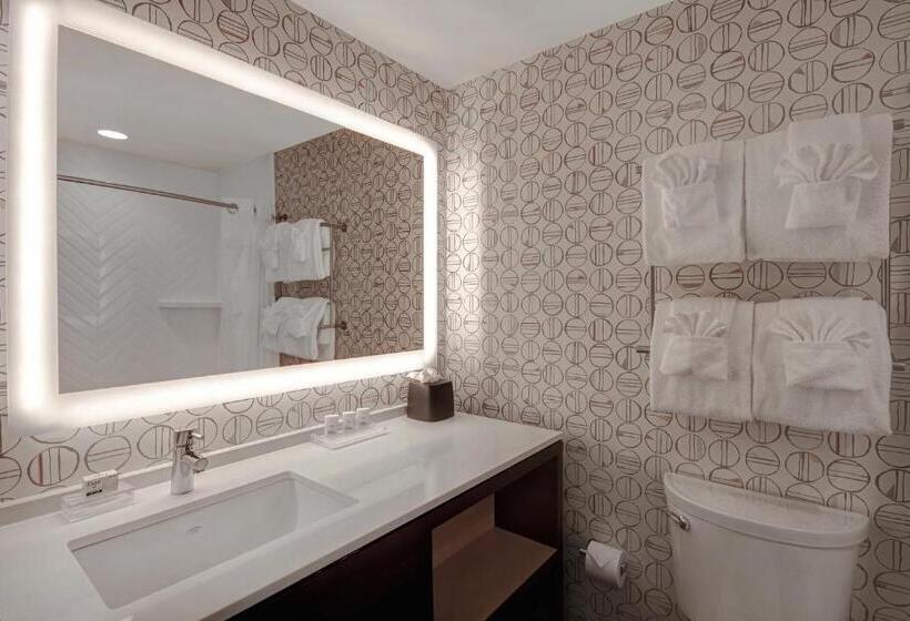 ホテル Holiday Inn Detroit Northwest   Livonia, An Ihg